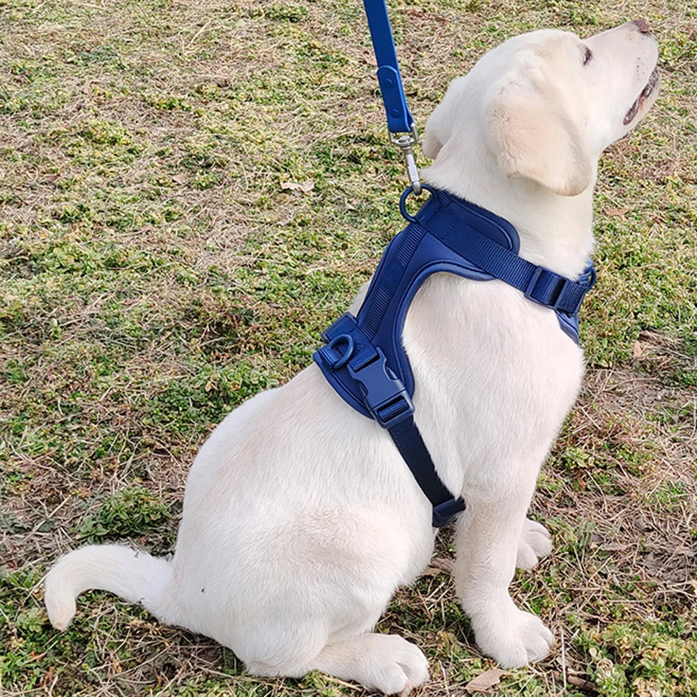Bailey Lightweight Dog Harness Breathable adjustable vest strap