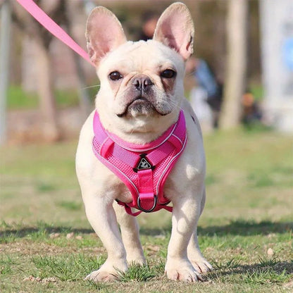 Toby No-Pull Dog Harness Set Reflective adjustable
