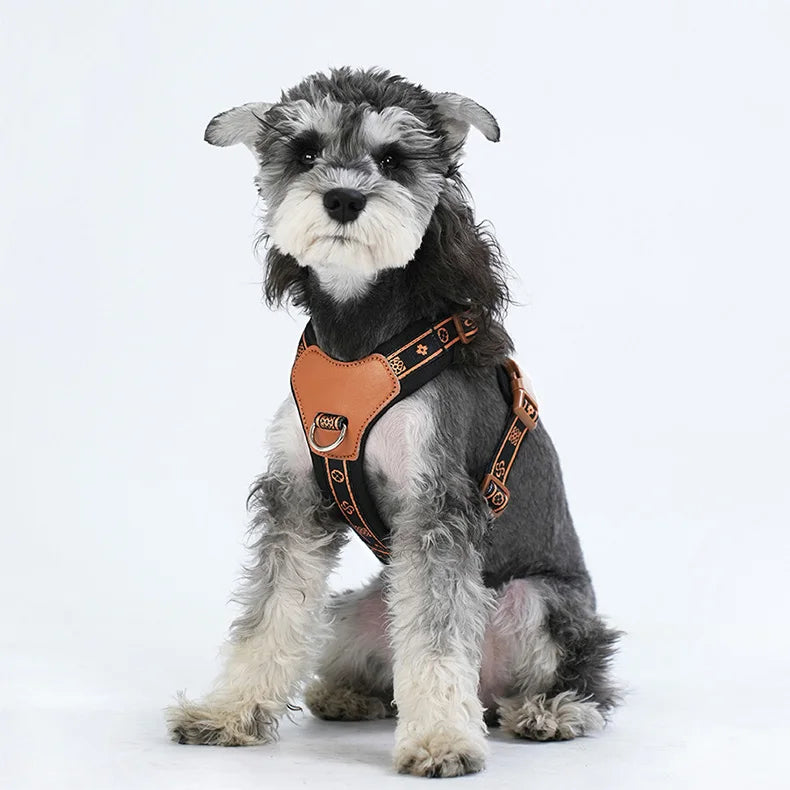 Savannah™ Adjustable Dog Harness Stylish & Comfortable