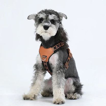 Savannah™ Adjustable Dog Harness Stylish & Comfortable