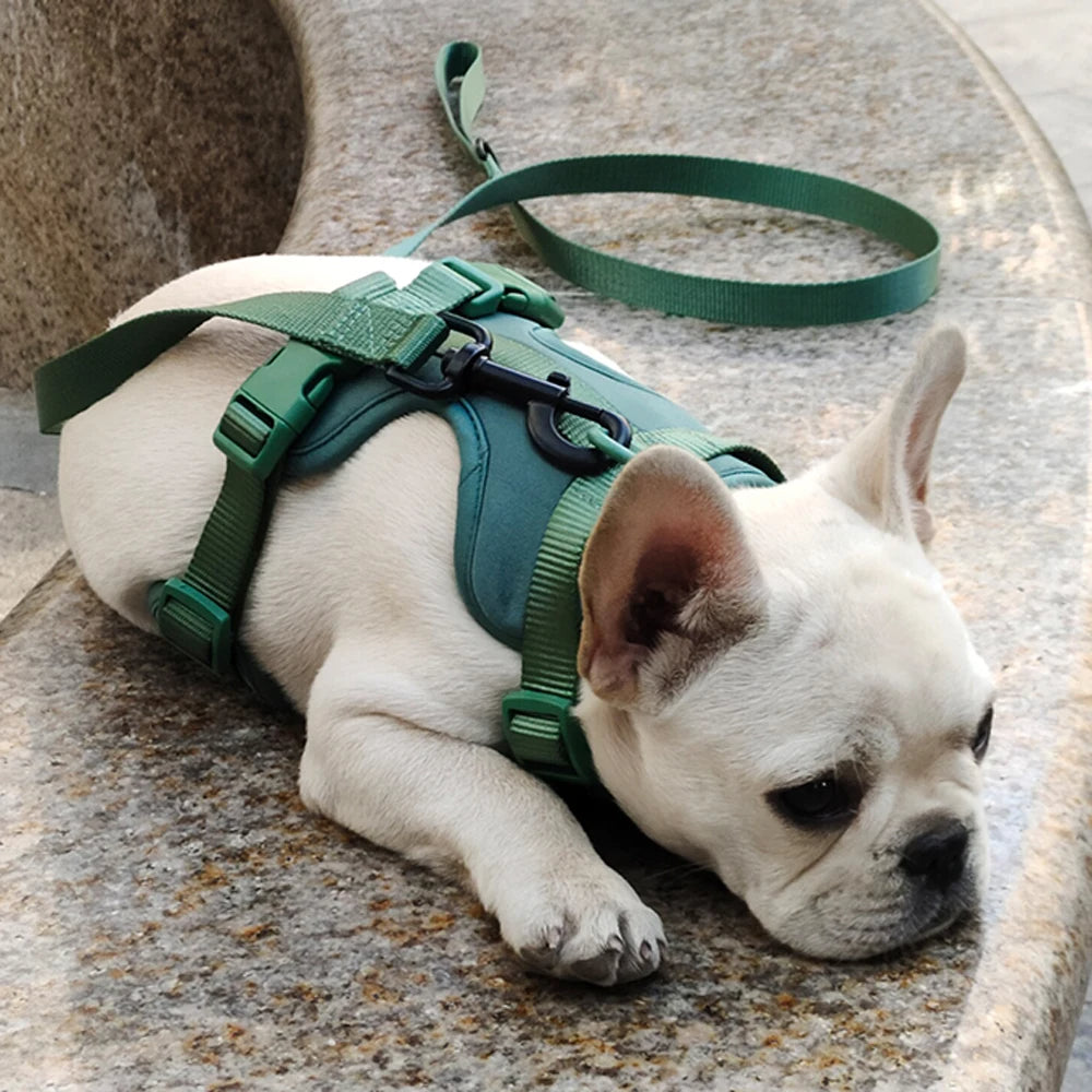 Bailey Lightweight Dog Harness Breathable adjustable vest strap
