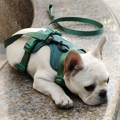Bailey Lightweight Dog Harness Breathable adjustable vest strap