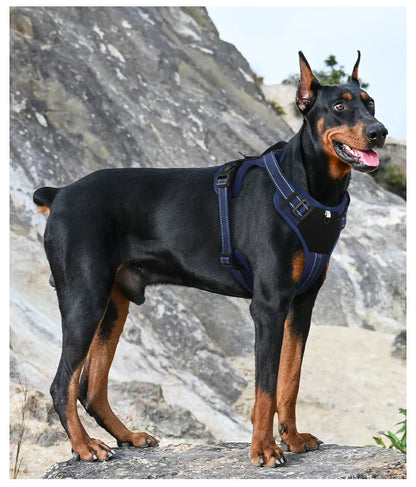 Max™ Adjustable No-Pull Dog Harness