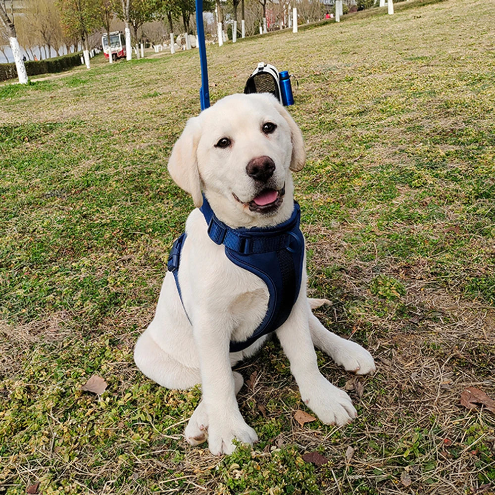 Bailey Lightweight Dog Harness Breathable adjustable vest strap