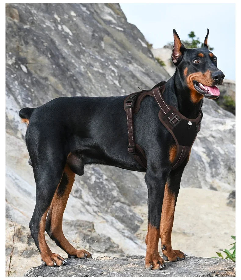 Max™ Adjustable No-Pull Dog Harness