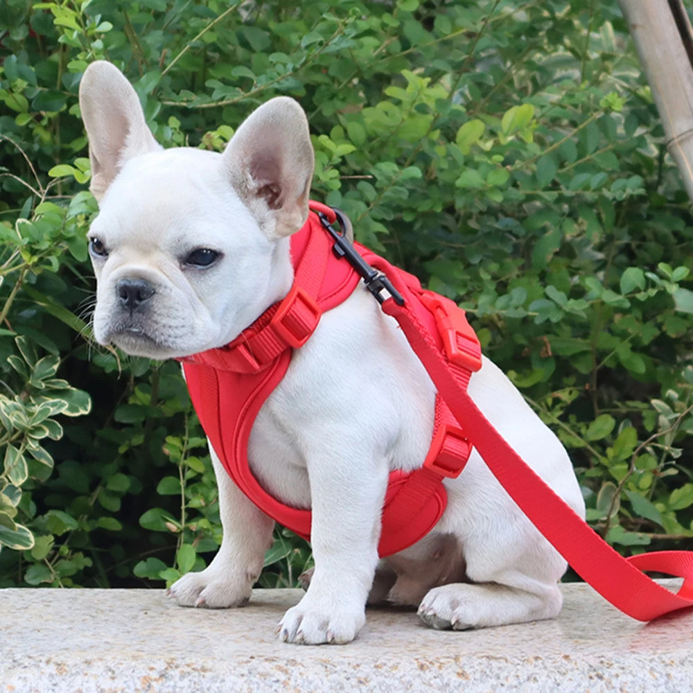 Bailey Lightweight Dog Harness Breathable adjustable vest strap