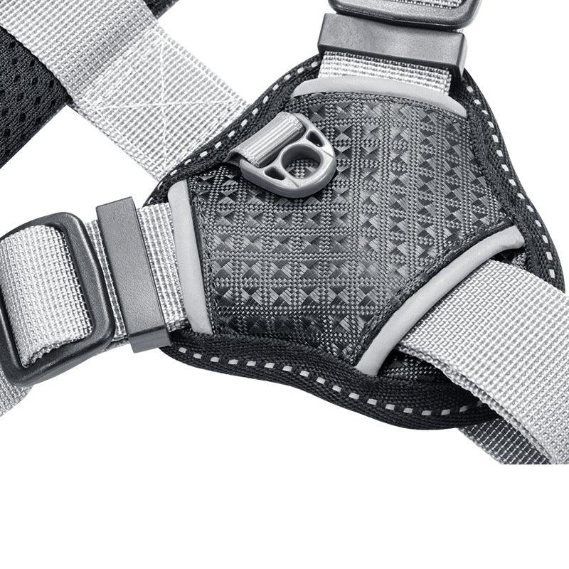 Stylish Dog Harness – Lightweight, Comfortable & Fashion-Forward