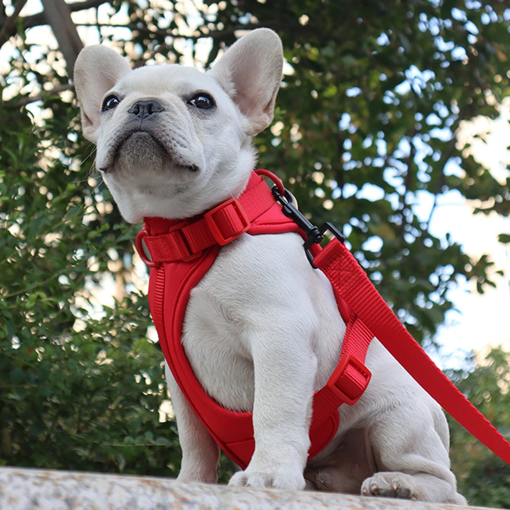 Bailey Lightweight Dog Harness Breathable adjustable vest strap