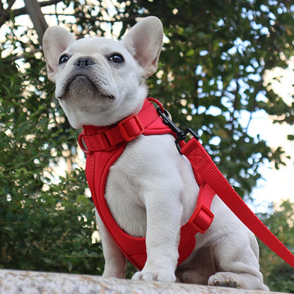 Bailey Lightweight Dog Harness Breathable adjustable vest strap