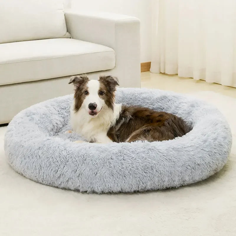 Molly™ Long Plush Dog Bed – The Softest Retreat for Peaceful Sleep