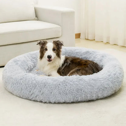 Molly™ Long Plush Dog Bed – The Softest Retreat for Peaceful Sleep