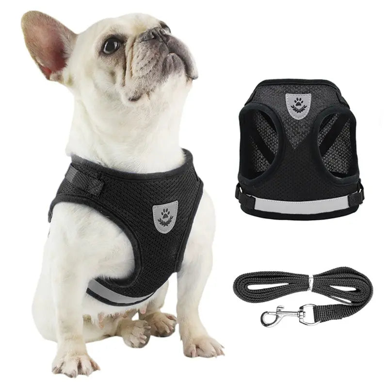 Zoe Reflective Mesh Dog Harness Breathable adjustable
