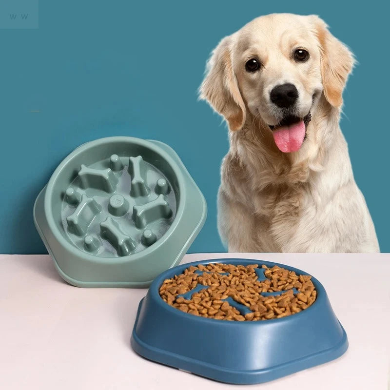 Pet Slow Feeder Bowl for Dogs to Prevent Choking and Support Healthy Eating