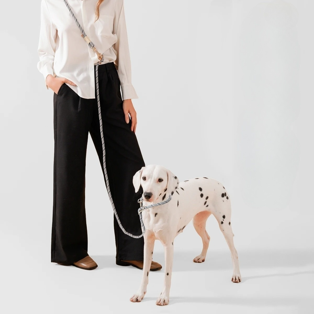 Kynaro | 10-in-1 hands-free dog leash for running, walking & control