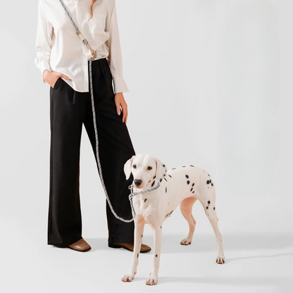 Kynaro | 10-in-1 hands-free dog leash for running, walking & control