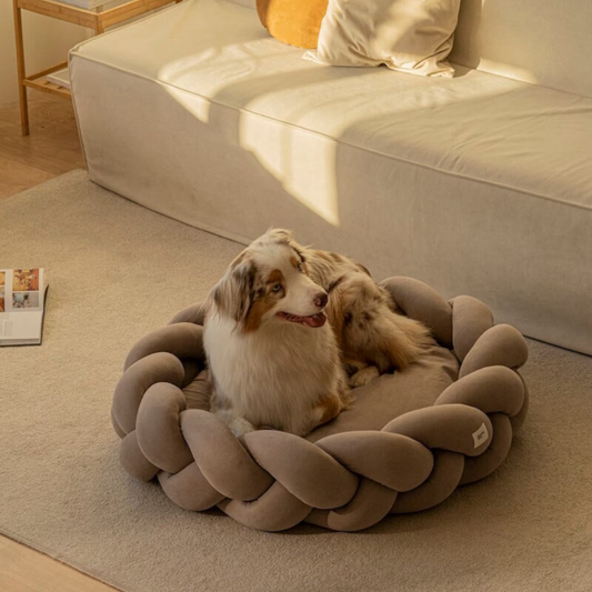 Bailey™ Luxury Dog Bed with Plush Cotton and Stylish Design