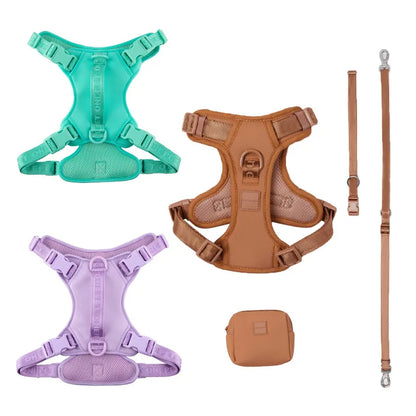 Daisy Adjustable Dog Harness & Leash Set
