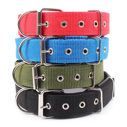 Tervano | Adjustable breakaway dog collar for small to large dogs