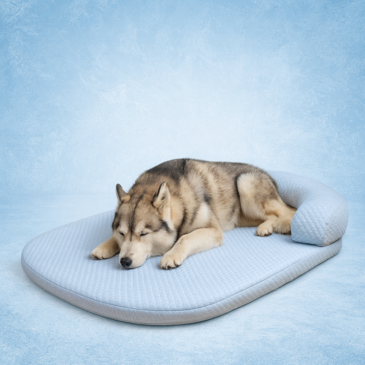 Chase™ Ice Silk Dog Bed