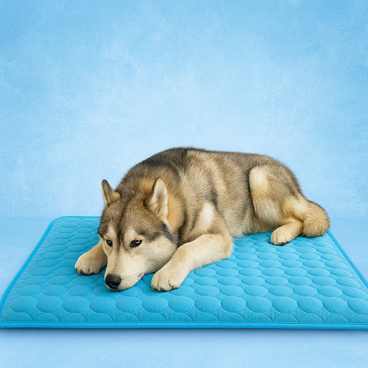 Bliss™ Cooling Dog Mat
