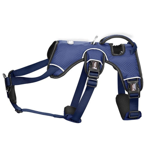 Stylish Dog Harness – Lightweight, Comfortable & Fashion-Forward