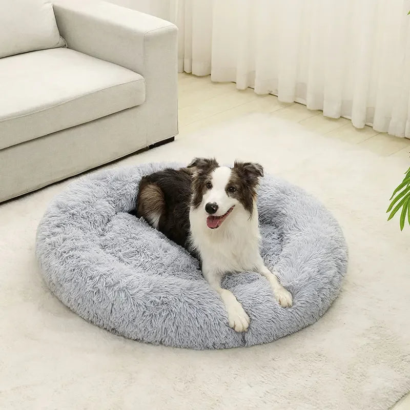 Molly™ Long Plush Dog Bed – The Softest Retreat for Peaceful Sleep