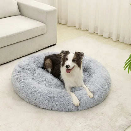 Molly™ Long Plush Dog Bed – The Softest Retreat for Peaceful Sleep