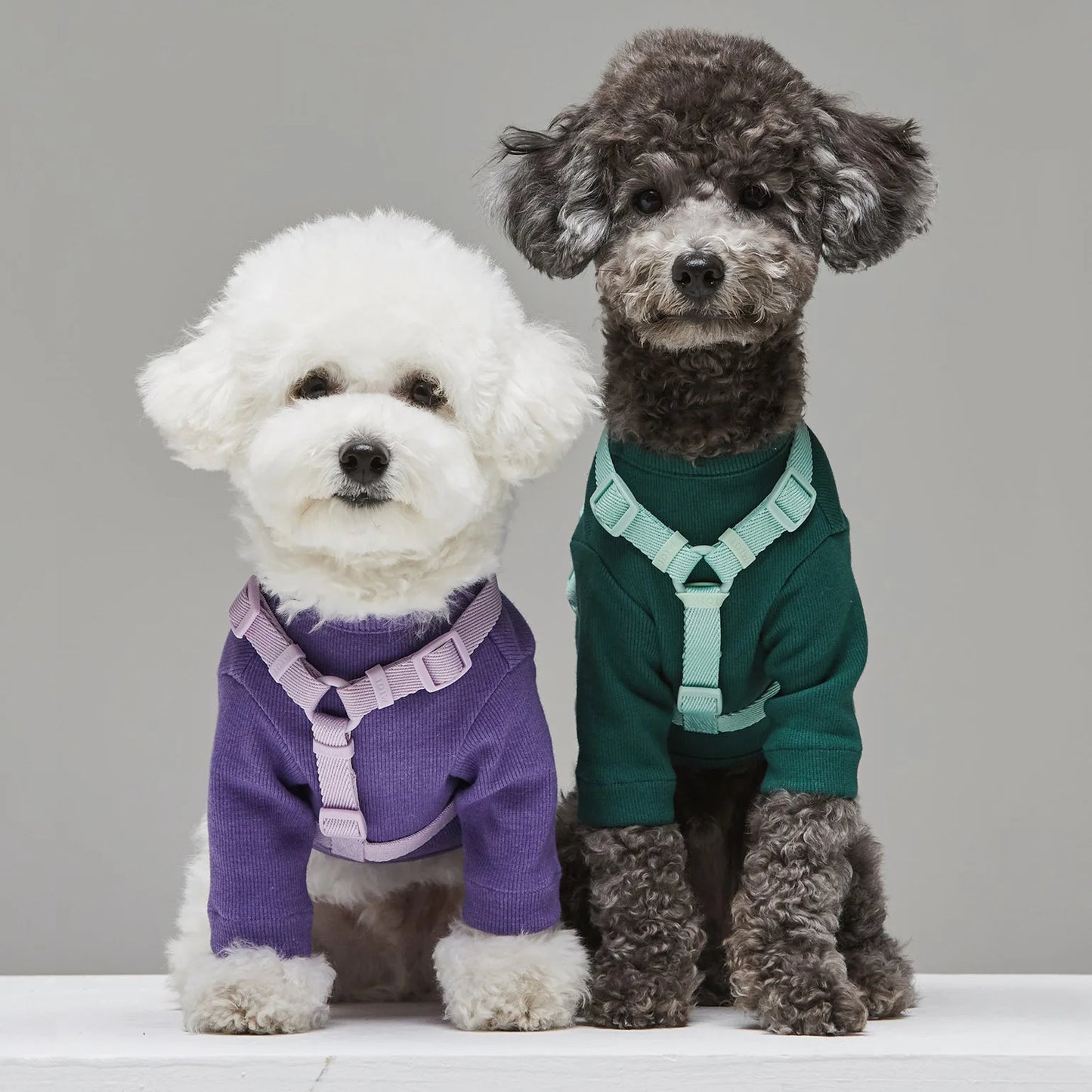 Cleo™ Macaron Dog Harness Set Dual-head leash
