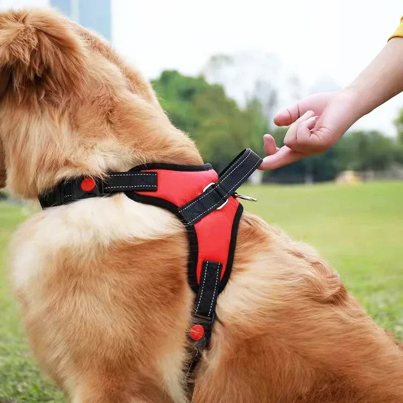 Ace Reflective Dog Harness Adjustable no-pull training vest