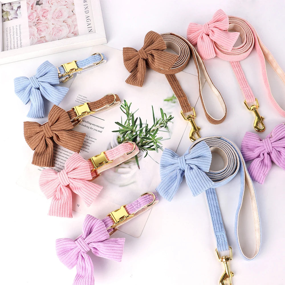 Chloe | Bowtie dog collar and leash set