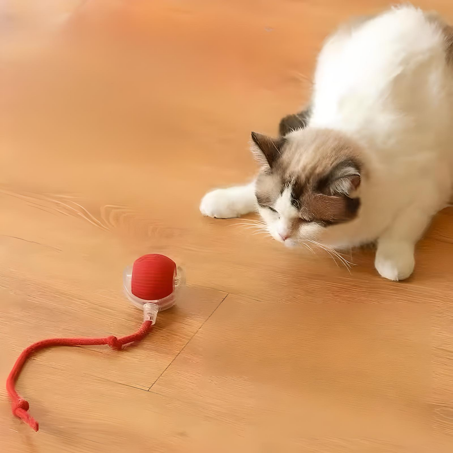 Pawsense™ Smart Interactive Cat & Dog Ball