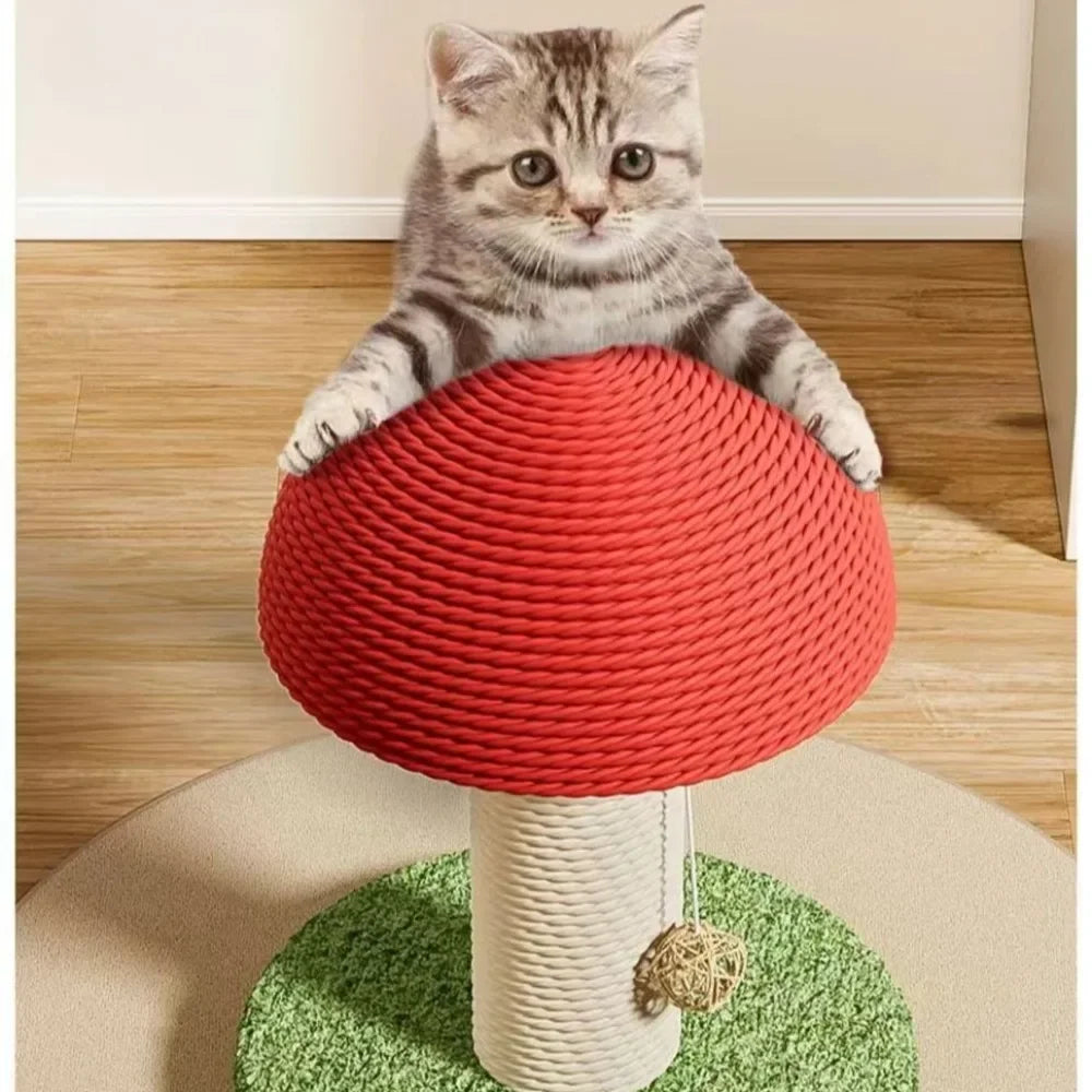 Daisy™ Mushroom Cat Scratching Tree – Play, Scratch & Explore