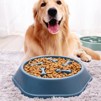 Pet Slow Feeder Bowl for Dogs to Prevent Choking and Support Healthy Eating