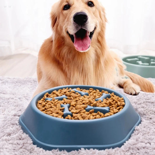 Pet Slow Feeder Bowl for Dogs to Prevent Choking and Support Healthy Eating
