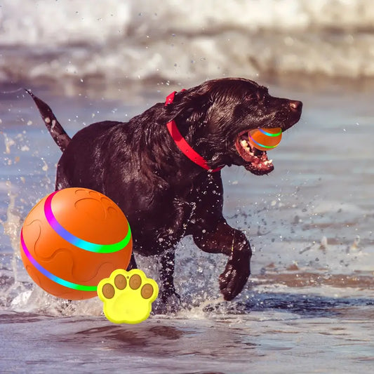 Buddy™ Active Rolling Ball for Pets