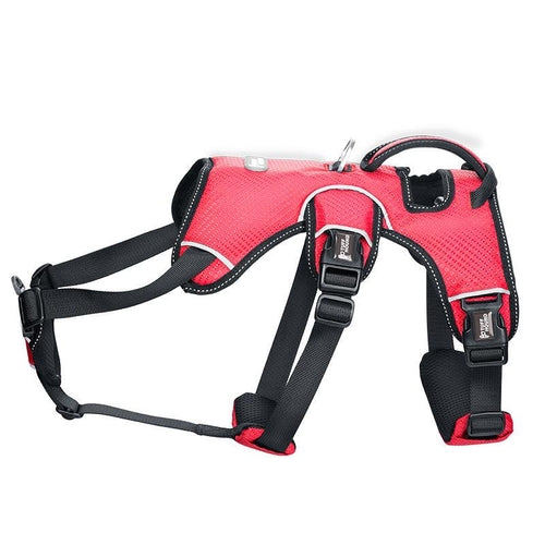 Stylish Dog Harness – Lightweight, Comfortable & Fashion-Forward