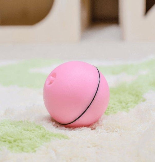 360° LED Interactive Cat Toy Ball – Smart Motion, Catnip Core & Rechargeable Design
