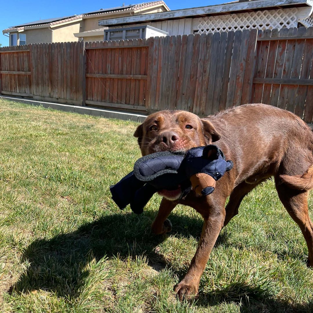 TuffPaw™ – Indestructible Bear Dog Toy