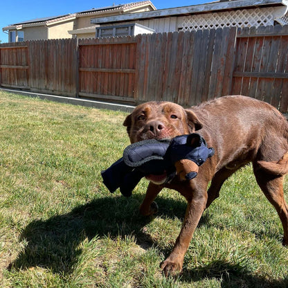 TuffPaw™ – Indestructible Bear Dog Toy