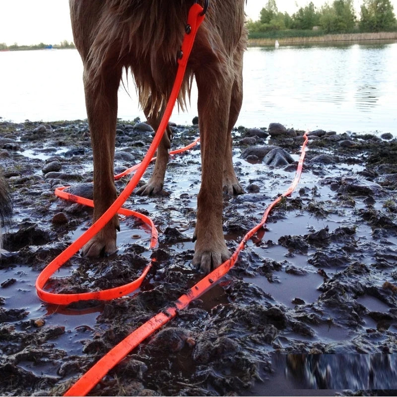 Vandrix G3 | Waterproof long dog leash for walking & training