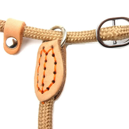 Simple Pro | Adjustable slip rope leash for training medium & large dogs