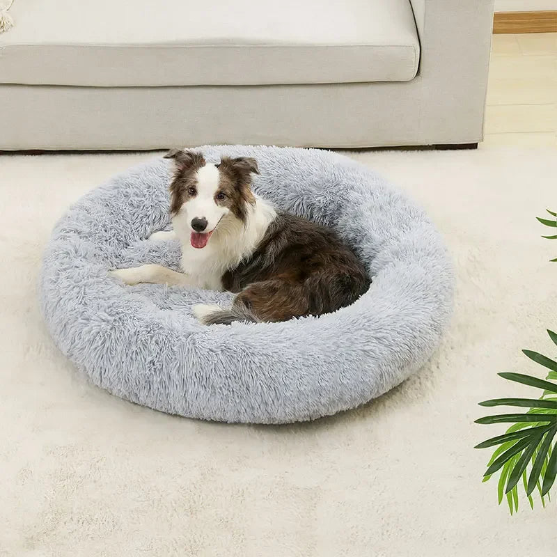 Molly™ Long Plush Dog Bed – The Softest Retreat for Peaceful Sleep