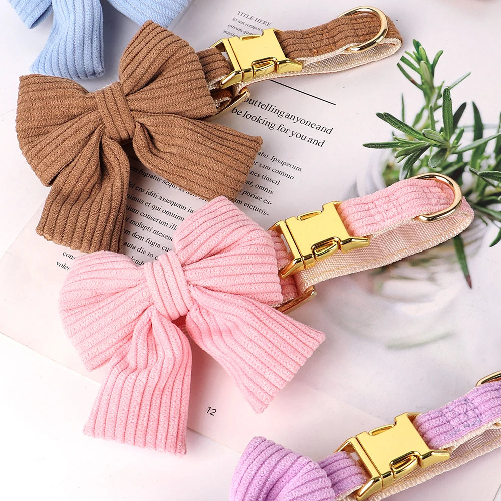 Chloe | Bowtie dog collar and leash set