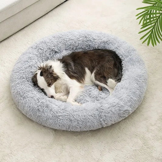 Molly™ Long Plush Dog Bed – The Softest Retreat for Peaceful Sleep