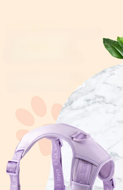 Daisy Adjustable Dog Harness & Leash Set