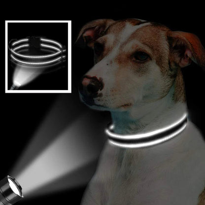 Leo | Reflective padded dog collar with breathable safety design