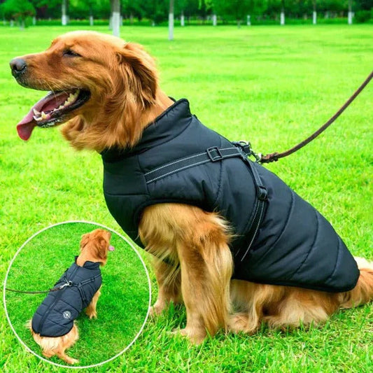 Waterproof Winter Dog Jacket with Built-In Harness and Sherpa Lining