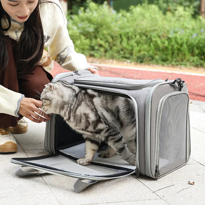 Portable Soft Sided Pet Carrier Bag for Dogs and Cats Travel