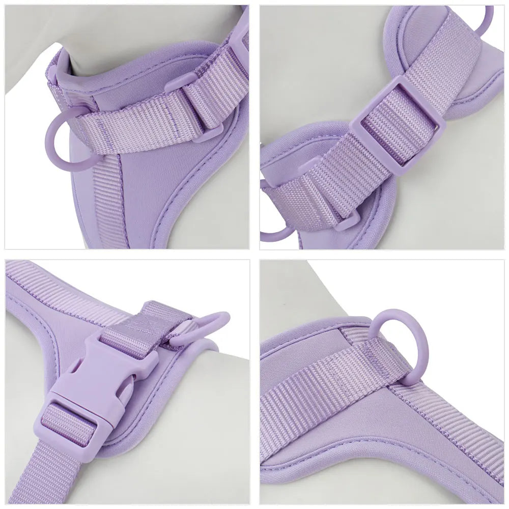 Bailey Lightweight Dog Harness Breathable adjustable vest strap