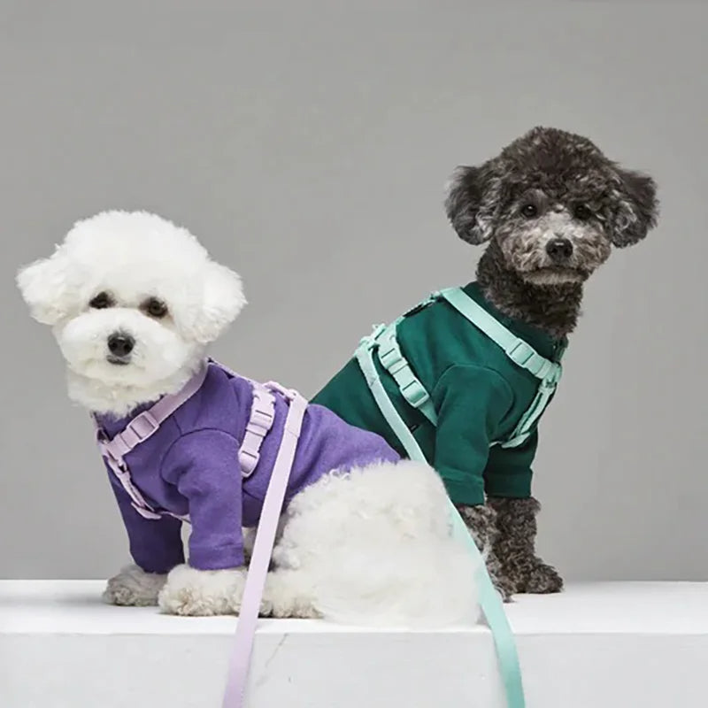 Cleo™ Macaron Dog Harness Set Dual-head leash